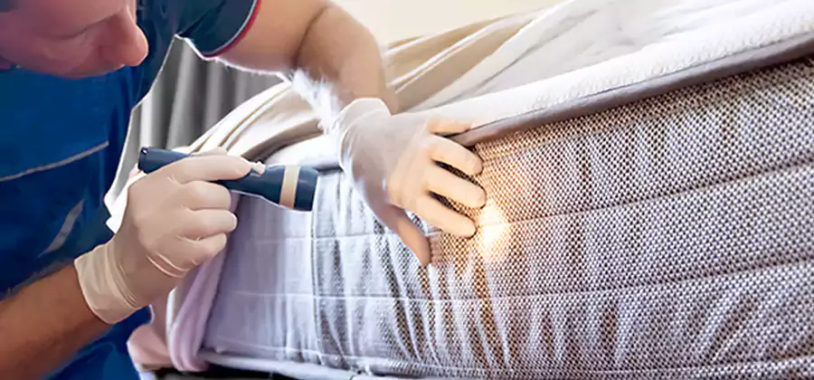 Residential Bed Bug Treatment Cost in Douglasville