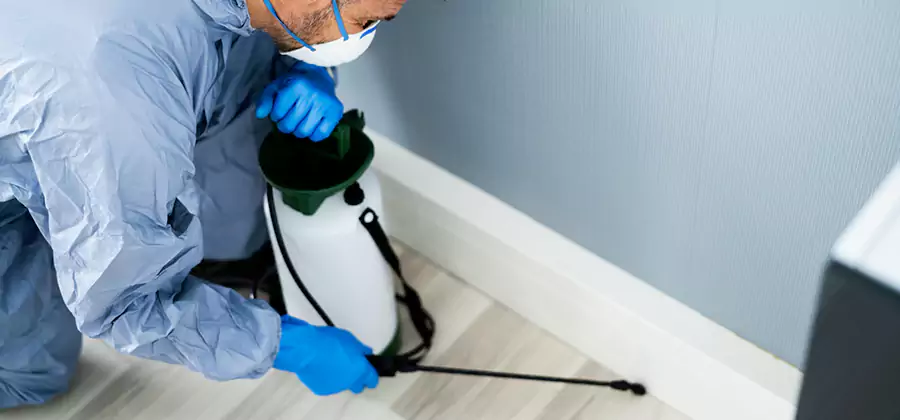 Fumigate Apartment Roaches in Douglasville