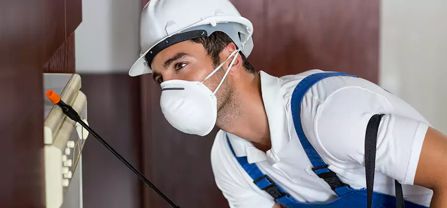 Injection Foam Treatment for Drywood Termites in Douglasville
