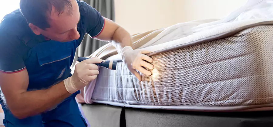 24 Hour Bed Bug Pest Control in Douglasville
