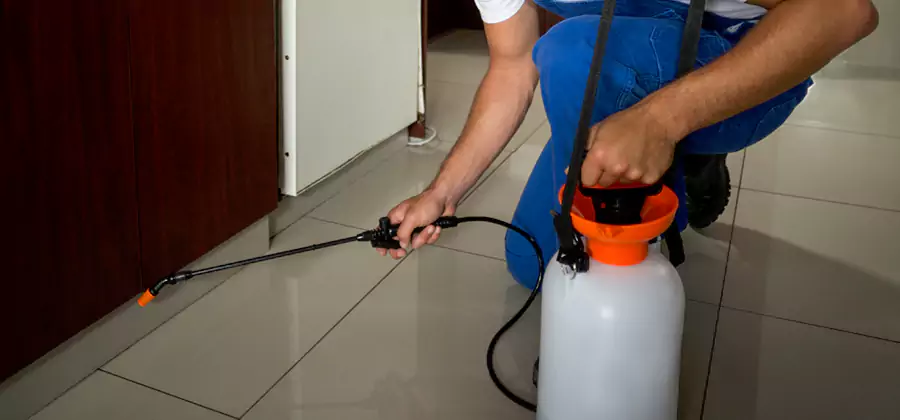 Indoor Mosquito Treatment in Douglasville