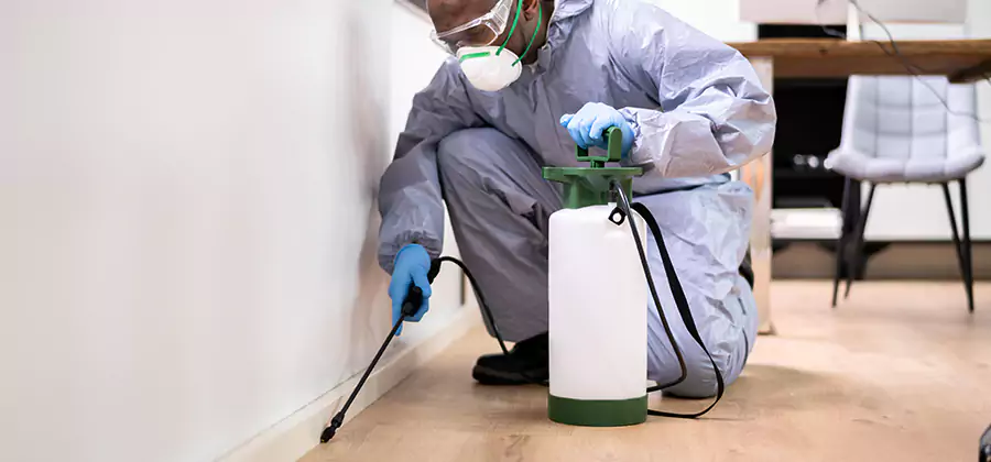 Long Lasting Mosquito Treatment in Douglasville