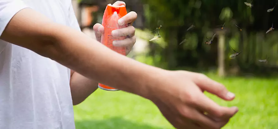 Mosquito and Tick Control Services in Douglasville