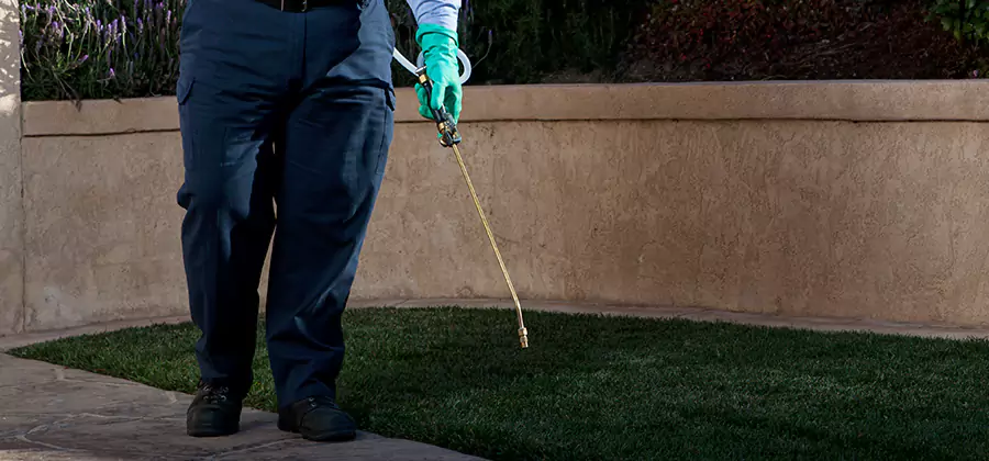 Soil Treatment for New Construction Termites in Douglasville