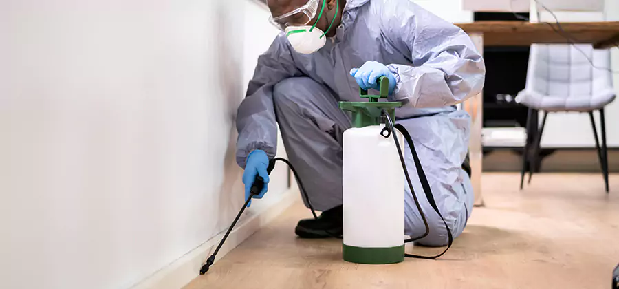 No Tent Termite Extermination With Electric Tool in Douglasville