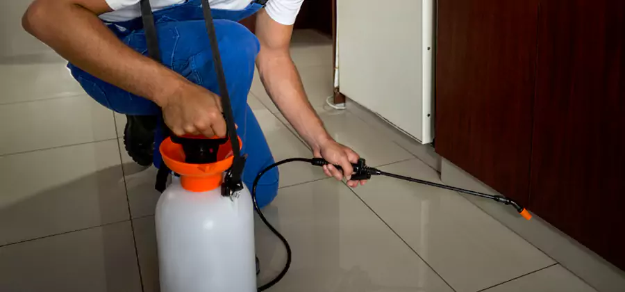 One Time Termite Control in Douglasville