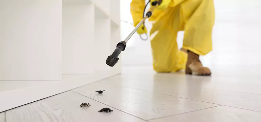 Roach and Bed Bug Exterminator in Douglasville