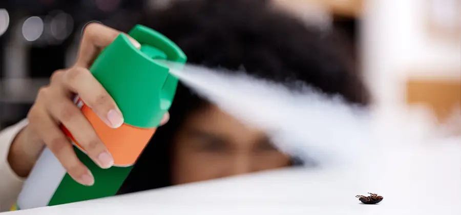 Child Safe Bed Bug Treatment in Douglasville