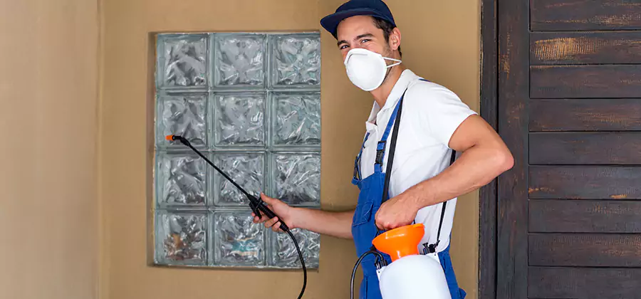 Physical Termite Barrier Installation in Douglasville