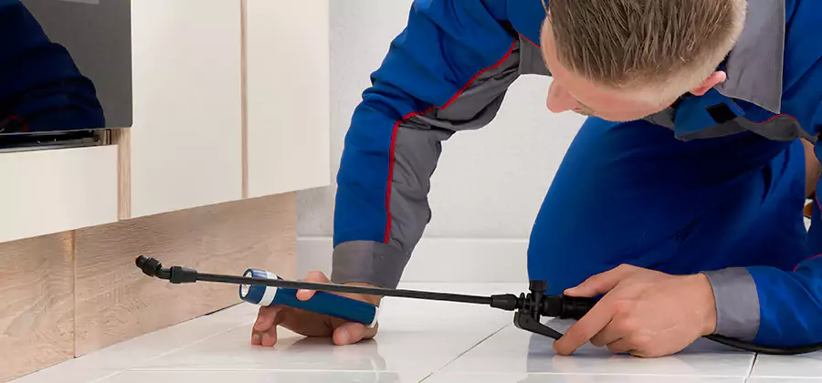 Moisture Treatment For Termite Control Service in Douglasville