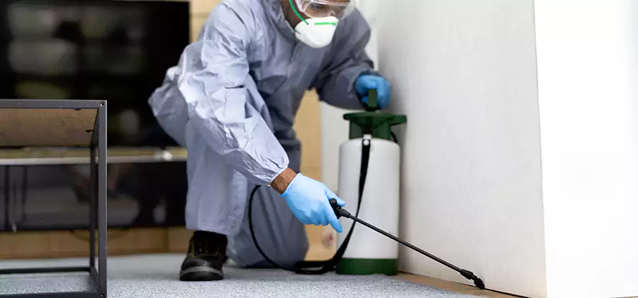 Wood Protection Termite Treatment in Douglasville