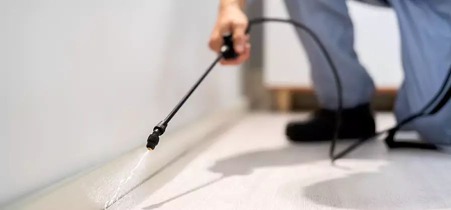 Direct Termite Injection Treatment in Douglasville
