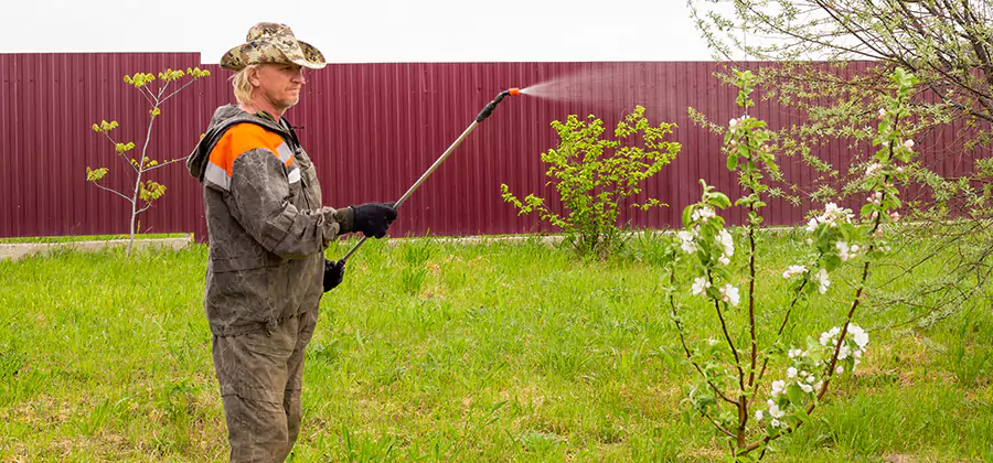 Flea and Tick Spray for Yard in Douglasville