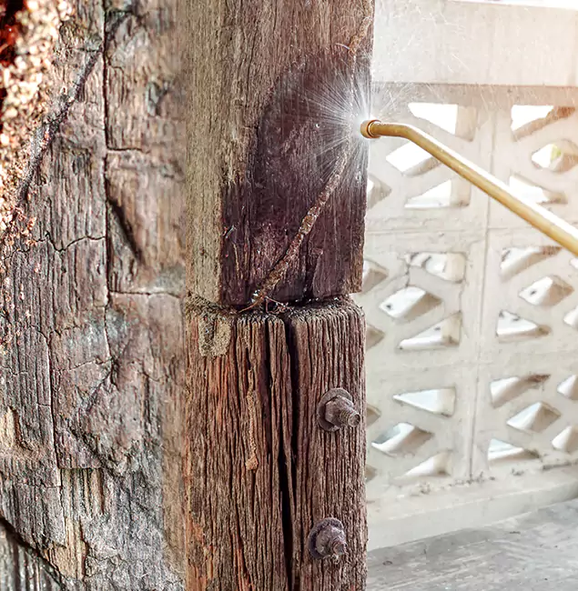 Why Choose Douglasville Pest Control Pro for Attic Termite Treatment in Douglasville, GA?