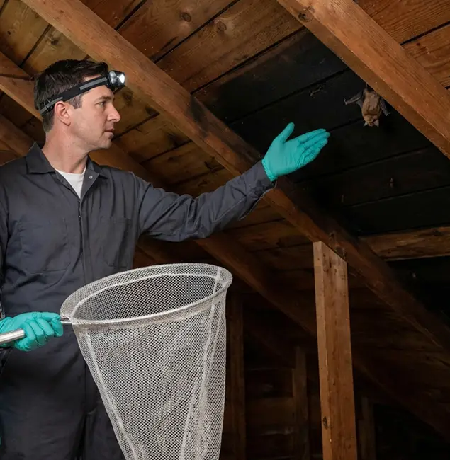 Why Douglasville Pest Control Pro Is the Right Choice in Douglasville, GA?
