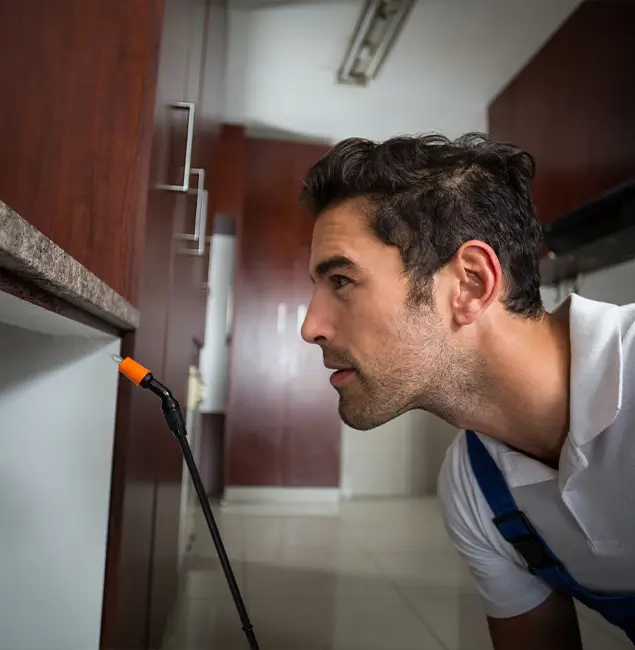 Why Choose Douglasville Pest Control Pro for Bed Bug Removal Cost in Douglasville, GA?