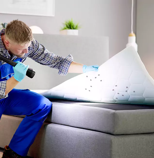 Why Choose Douglasville Pest Control Pro in Douglasville, GA?