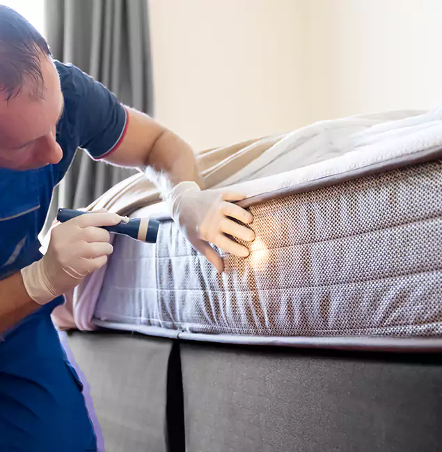 Why Choose Douglasville Pest Control Pro for Bed Bug Services in Douglasville, GA?