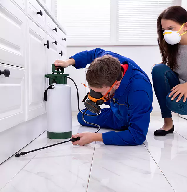 Why Choose Douglasville Pest Control Pro in Douglasville, GA?