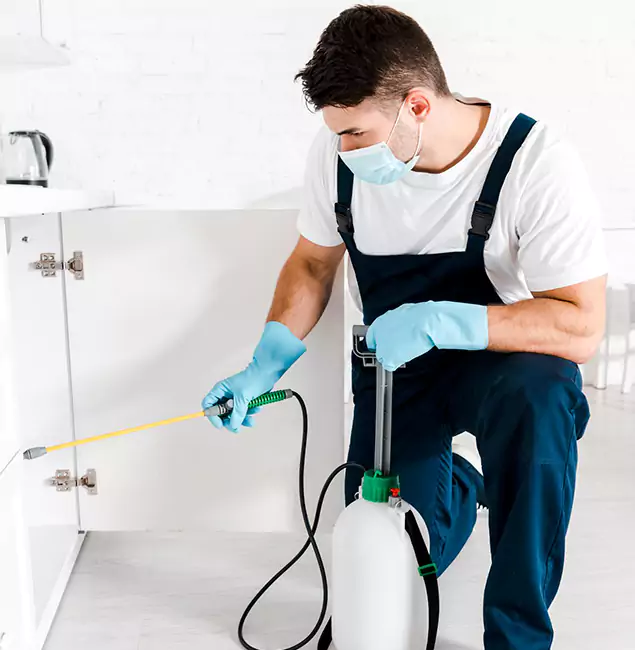 Why Choose Douglasville Pest Control Pro for Emergency Pest Control in Douglasville?