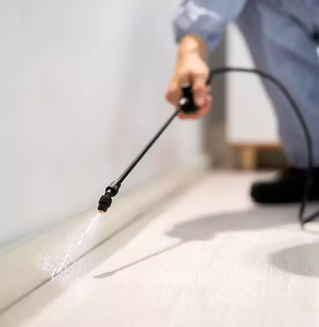 Why Choose Douglasville Pest Control Pro for Termite Treatment in Douglasville, GA?