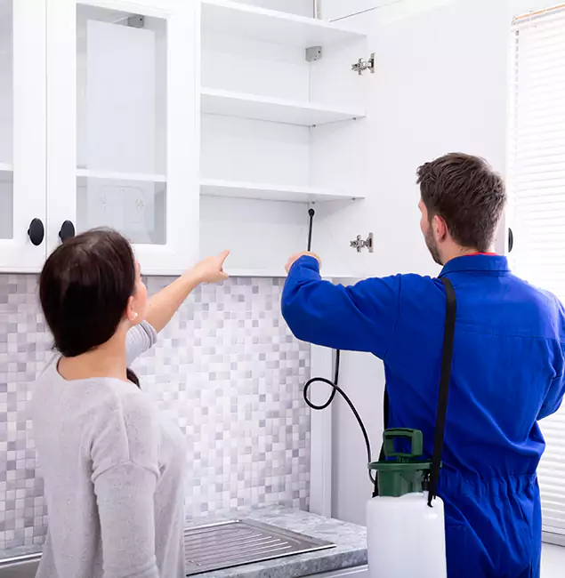 Why Douglasville Property Owners Choose Douglasville Pest Control Pro for Ground Bee Removal?