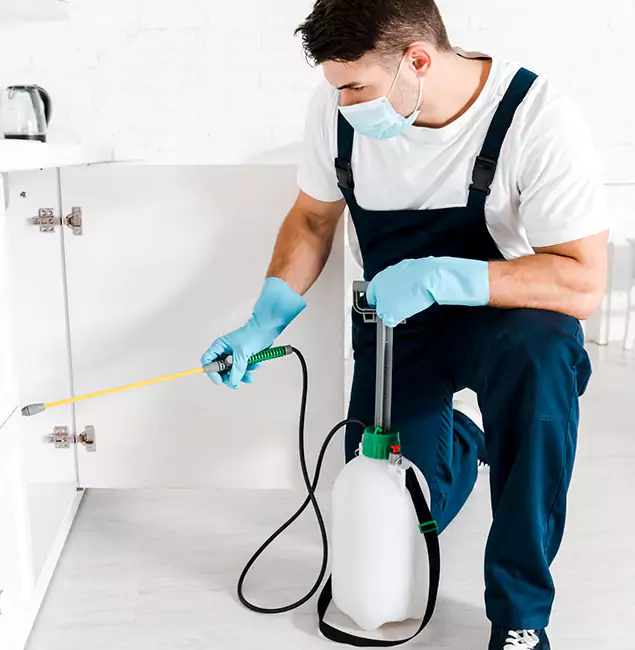 Why Choose Douglasville Pest Control Pro for Indoor Pest Control in Douglasville, GA?