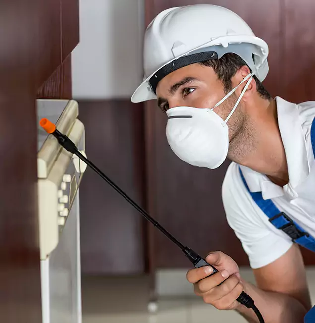 Why Douglasville Homeowners Rely on Douglasville Pest Control Pro for Tick Treatment?