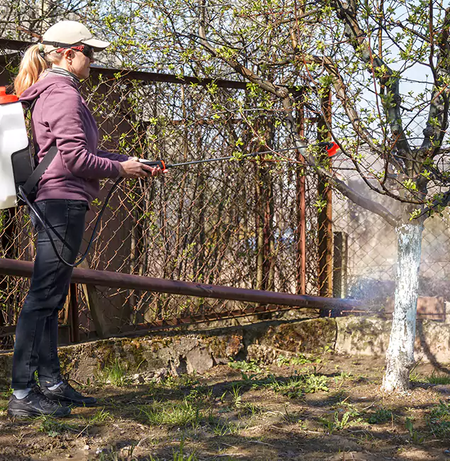 Why Douglasville Homeowners Choose Douglasville Pest Control Pro for Mosquito Abatement?