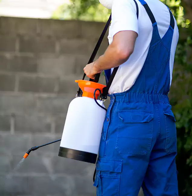 Why Douglasville Homeowners Rely on Douglasville Pest Control Pro for Mosquito Control?