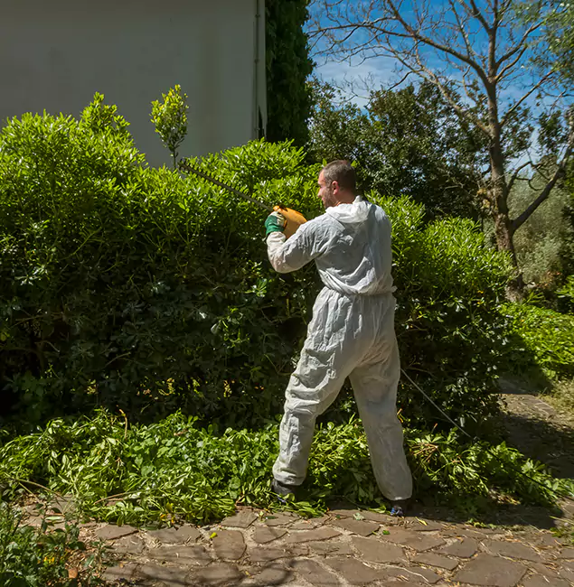 Why Douglasville Pest Control Pro Leads Mosquito Control in Douglasville, GA?