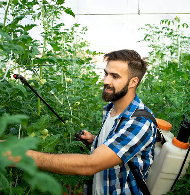 Why Douglasville Homeowners Choose Douglasville Pest Control Pro for Mosquito Spraying?