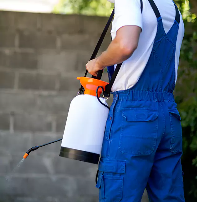 Why Douglasville Pest Control Pro Delivers the Best Mosquito Control in Douglasville, GA?
