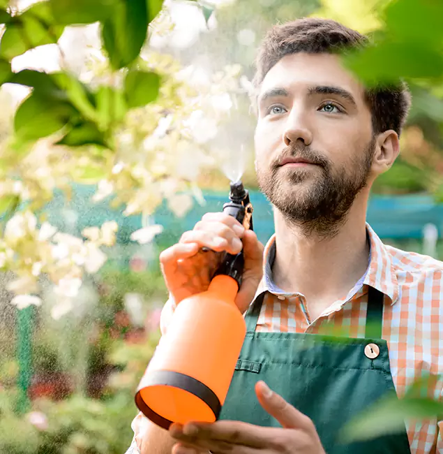Why Douglasville Homeowners Call Douglasville Pest Control Pro for Mosquitoes in House?