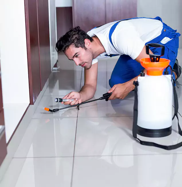 Why Douglasville Pest Control Pro Is the Proven Choice in Douglasville, GA?