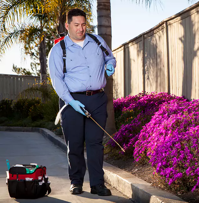 Why Choose Douglasville Pest Control Pro in Douglasville, GA?