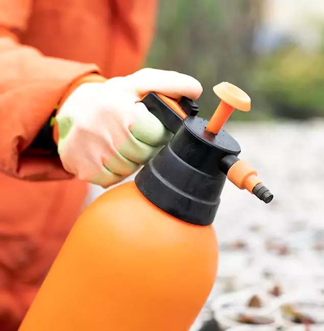 Why Choose Douglasville Pest Control Pro for Orange Termite Treatment in Douglasville, GA?