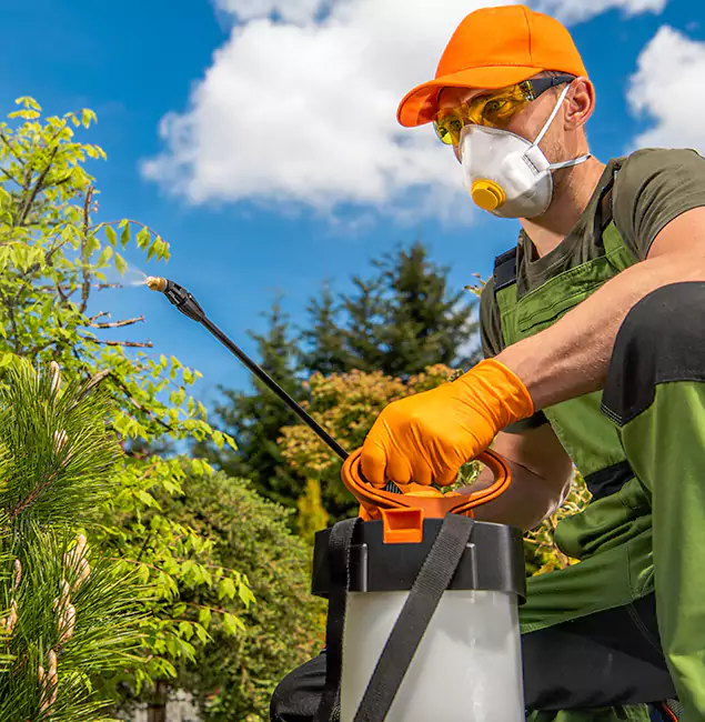 Why Choose Douglasville Pest Control Pro for Outdoor Pest Control in Douglasville, GA?