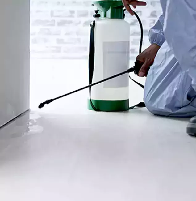 Why Choose Douglasville Pest Control Pro for Rat Exterminator in Douglasville, GA?