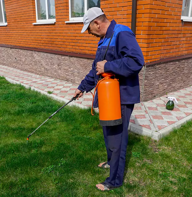 Why Choose Douglasville Pest Control Pro for Residential Pest Control in Douglasville, GA?