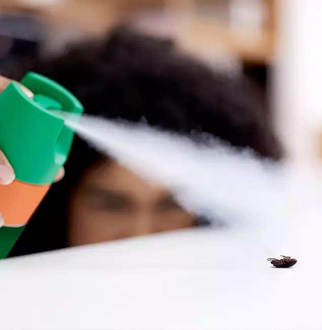 Why Douglasville, GA Homeowners Choose Douglasville Pest Control Pro for Roach Pest Control?