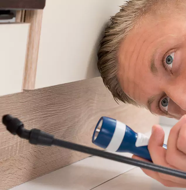 Why Choose Douglasville Pest Control Pro for Rodent Exterminator in Douglasville, GA?