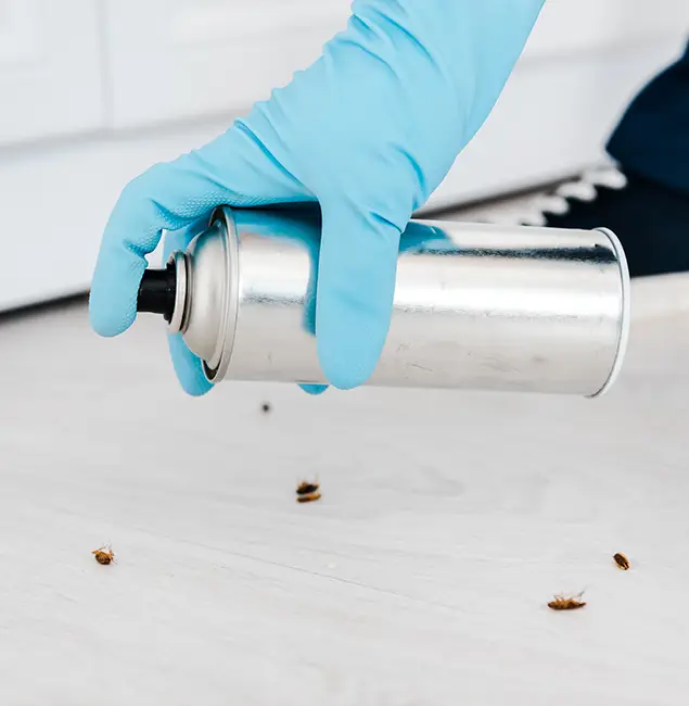 Why Choose Douglasville Pest Control Pro for Safe Bed Bug Treatment in Douglasville, GA?
