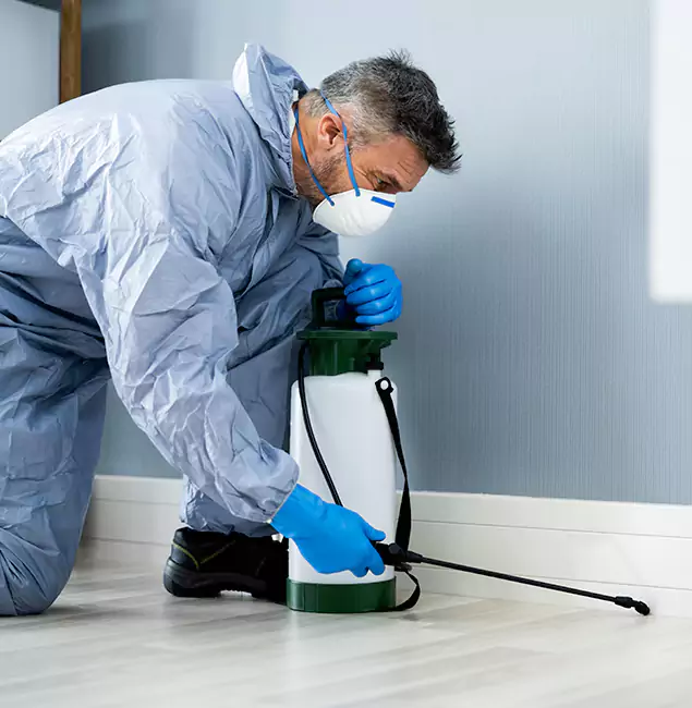 Why Choose Douglasville Pest Control Pro for Subterranean Termites Treatment in Douglasville, GA?