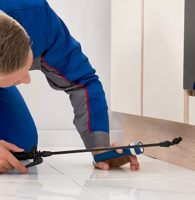 Why Douglasville Residents Choose Douglasville Pest Control Pro to Get Rid of Sugar Ants?