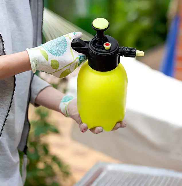 Why Choose Us: Douglasville Pest Control Pro Termite Spraying Experts in Douglasville, GA?