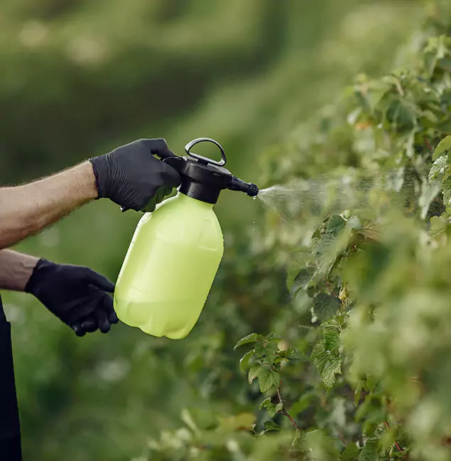 Why Douglasville Homeowners Choose Douglasville Pest Control Pro for Yard Tick Treatment?