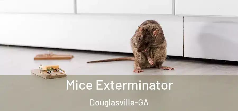 Mice Exterminator Douglasville-GA