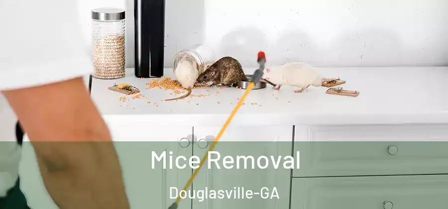  Mice Removal Douglasville-GA