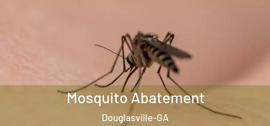 Mosquito Abatement Douglasville-GA